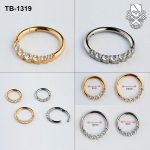 Graduated Round Zircon ASTM F-136 Titanium Septum Clicker Ring