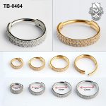 Double-Row Zircon ASTM F-136 Titanium Clicker Ring