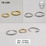 Classic Polished ASTM F-136 Titanium Clicker Ring