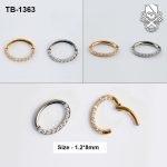 Front-Facing Zircon ASTM F-136 Titanium Clicker Ring