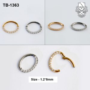 Front-facing zircon ASTM F-136 titanium clicker ring in golden and silver