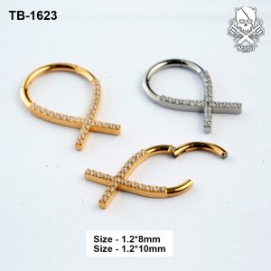Zircon Ankh ASTM F-136 titanium clicker ring in golden and silver