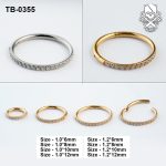 Single-Row Zircon ASTM F-136 Titanium Clicker Ring
