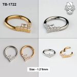 Princess-Cut Crown Zircon ASTM F-136 Titanium Clicker Ring