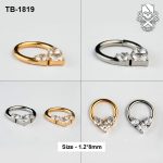 Triple Zircon Princess-Centre ASTM F-136 Titanium Clicker Ring
