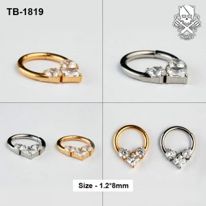 Triple zircon princess-centre ASTM F-136 titanium clicker rings in golden and silver